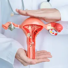 A drug used to treat tapeworms could help fight endometriosis, an incurable dis…