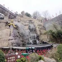 白天来，没啥转的