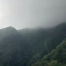 仙气飘飘