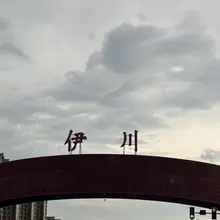 来此一游