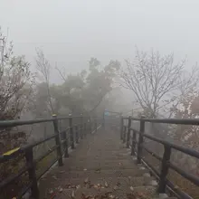 打卡，蒙蒙细雨