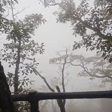 打卡，蒙蒙细雨