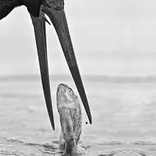 Photo posted by Perfectly timed pics (@Momentclicked)