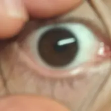我也发