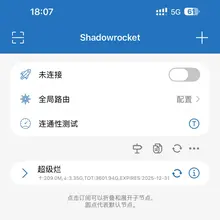 有没有梯子推荐呀，平时用AI的需求很高，希望节点可以干净一点，我手上两个梯子都没办法用Gemini 好难过…… 想要通过小火箭代理的，一年大概就用400G，套…