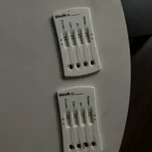 你猜呢