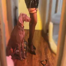 这就是那条做成防喷罩的红黑配色丝袜。我家小狗，我拿不拿教鞭，它都很乖。今天御老师教一个词叫【Body Worship】身体崇拜：含义就是通过亲吻、舔舐表达对D…