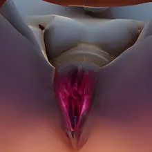 冒泡啦