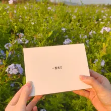 春分踏春，风轻草软 宜穿戴玩具出门游玩 春意正浓，带一颗青杏千羽解锁烂漫春光~