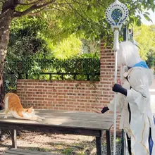 Lady Avalon vs 🐱 #FGO #マーリン