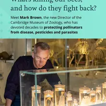On World Bee Day, we’re spotlighting the scientists working to understand – and…