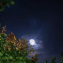 愿世间所有的团圆，都不必跋山涉水、隔世相见！