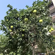 出差好累啊，回来睡两天也睡不够🫣