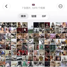 限免进入🚪: