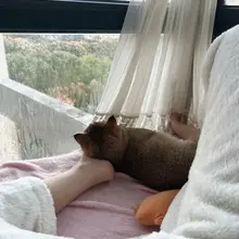 感受 爱的重量