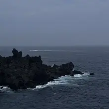 🌊