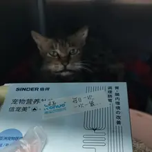 有人愿意帮助一下吗，最近实在不忍收留了一只有口炎和杯状病毒的流浪猫，前天晚上送去医院今天就已经花了3000多，医生说还要治疗半个月，感觉有点承受不在了，小猫非…