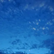 想问问各位夫妻情侣前辈，怎么筛选口嗨怪，难道只有收门槛吗 #夫妻交友 #021单男 #3p #交换 #淫妻分享 #找单男 #找金主