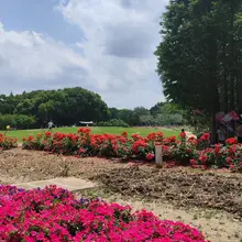 嘉兴 穆湖森林公园