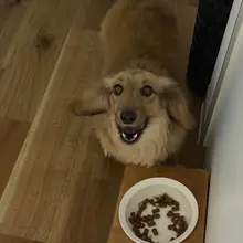 ご飯食べる時ママ見てる？って確認してくる愛