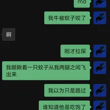 好了好了这下坏了
