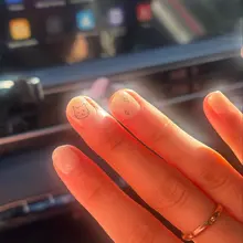 cats on nails <3