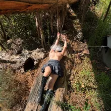 🏕️ 📸@elusivegaussian