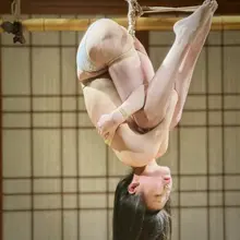 因果交织 @GUOYUANWANGBA