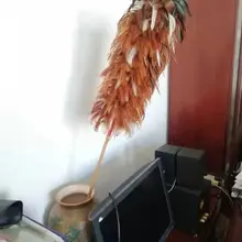 Traditional Chinese Spanking