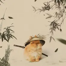 A warrior of very few words.