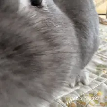 近〜〜〜〜い