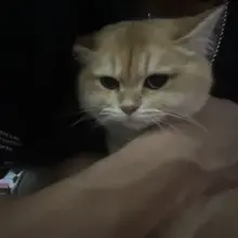 逃不掉的你