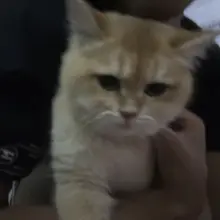 逃不掉的你
