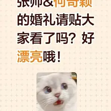 #张帅何奇颖 #张帅 #何奇颖 #母狗