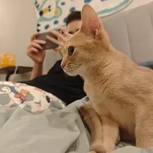或许给没有其他联系方式的朋友汇报一些我的近况？ 最近的状态是在加班/出差/看演出/陪朋友/养猫中忙完这个忙那个