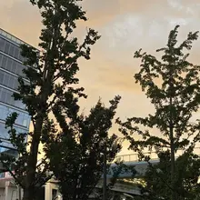 人怎么能每天都这么无聊