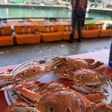 插完穴穴吃蟹蟹🦀