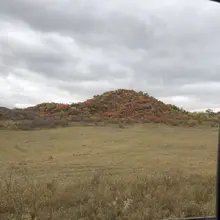 秋天的草原沙地很美。中秋要不要走一圈？