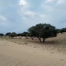 秋天的草原沙地很美。中秋要不要走一圈？
