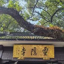 来杭州玩，有朋友在吗
