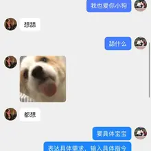 我也拥有最爱的小狗啦