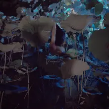 在水一方看荷花@Fengsiyuan @luchu888888 @wqganenshi_