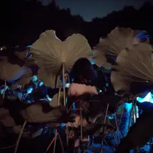 在水一方看荷花@Fengsiyuan @luchu888888 @wqganenshi_