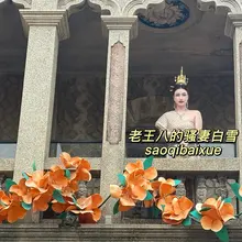 这蓝V申请后要说有什么区别的话，那就是评论区都是人机广告，这是为啥，觉得蓝V选手的评论区看的人多？