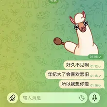 也许你永远不会看到我发的tg 所以我想你啦