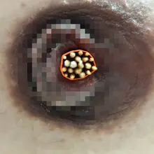 你能数清楚这是多少根牙签么？
