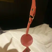 来吧，一起驾驭她吧