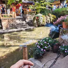 来丽江偶遇