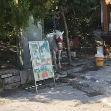 真安逸