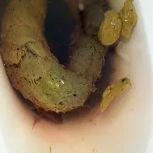 射出来🖕 https://t.co/MdM07FBHKQ 喜欢看屎卡屁眼的买，很粗，艺术性很高。